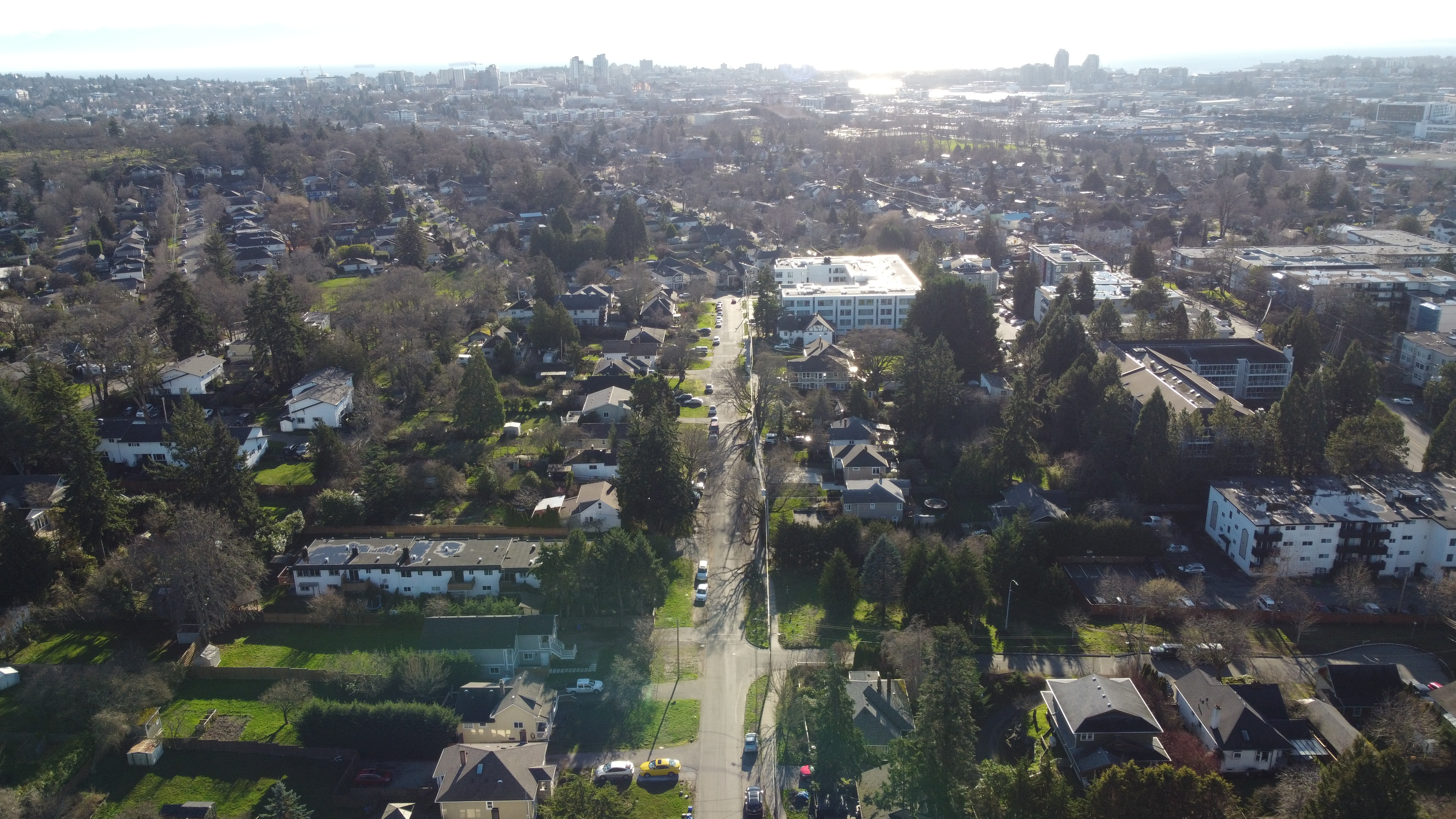 Elevated view looking toward downtown Victoria, with the Linwood Avenue site visible left of centre